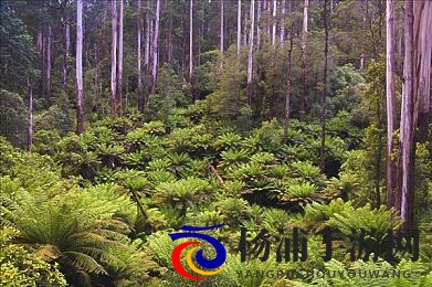 打女同学脱裙光屁屁打红网站|青少年网络暴力事件频发亟待全面治理