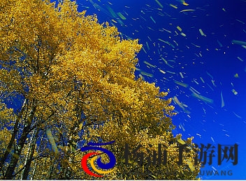 黑人巨大与亚洲娇小的区别|探索不同体型角色的视觉魅力与策略奥秘