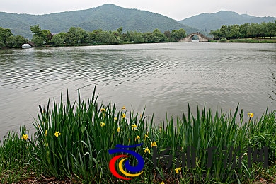 涩涩99|浓郁香味享受无尽欢愉