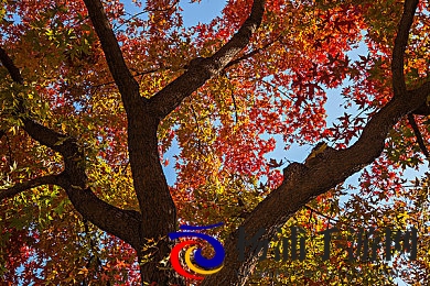 李梓熙与香港摄影师合作内容解读|解析李梓熙联袂港籍摄影师创作详情-2