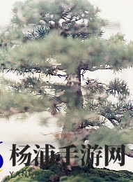 色多多视频网站|丰富多彩的高清影视资源平台-1