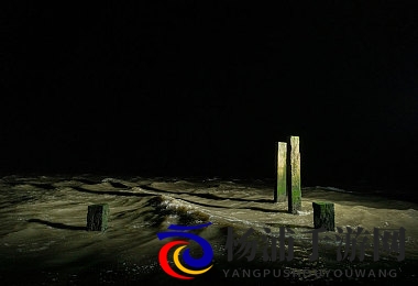 天天干人人操|每日激情奋战不停歇-2