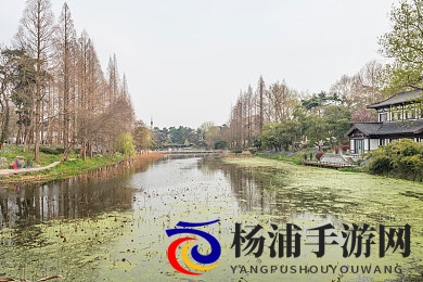 荒野求生不打马赛原版在哪能看到|揭秘真实版本的野外生存挑战-3