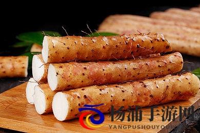 纯白的轮舞曲1-2樱花|春日焕新动画演绎生命与希望-2