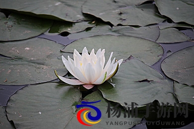 155.7fun|探索无尽欢乐的精彩体验-2