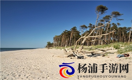 好爽 好紧 好深里面满了动漫|创新突破引领动漫未来