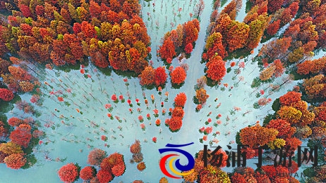 一边做运动一边敷面膜60分钟|运动中享受面膜护理九十分钟-3