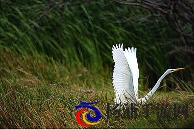 黑料社|游戏内幕大揭示未来新作或迎重大突破