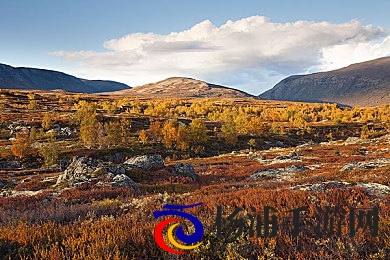 黄色软件免费下载OPPO|识别安全软件避免设备陷阱