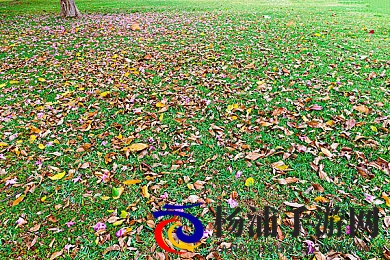 美女露胸软件|优雅女性展示性感图片软件