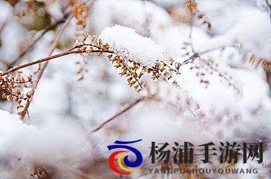 云缨裸体奶水都被挤出来了|网络隐私保护与公众责任的平衡之道-2