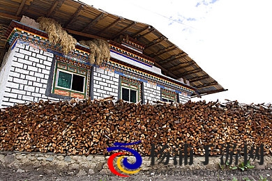 校花被扒个精光裸体给男生摸|争议中的新游戏探索内容与责任的平衡-2