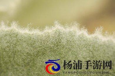 国产一卡2卡三卡4卡芒果|多卡智能手机引领未来潮流-2