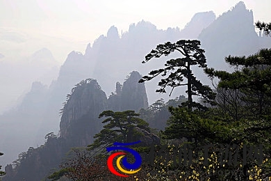 天天射天天操天天干|每日激情娱乐尽情释放-2