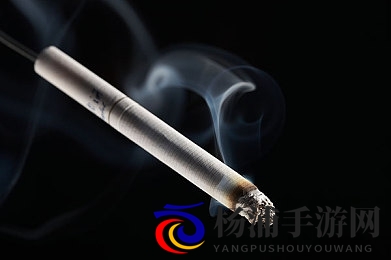 五十路完熟|成熟人生的无限精彩展现-2