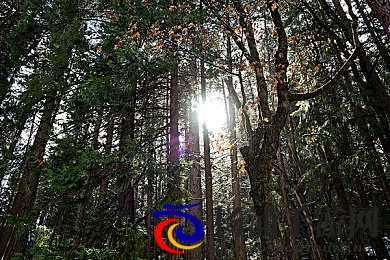 三上悠亚与渡边|女优组合的新合作引发关注-2