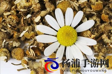 网站我想你应该明白我的意思|我希望你能理解我的意图-3