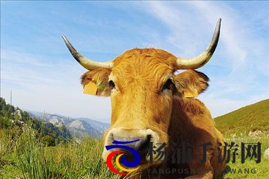 黑料社|游戏内幕大揭示未来新作或迎重大突破-2