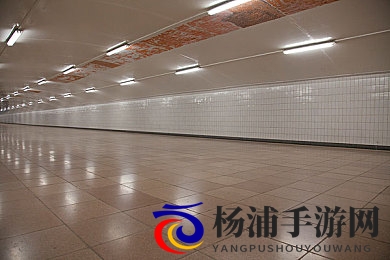 台湾妹中文娱乐网|台港精选华语娱乐频道-3