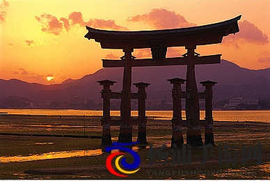 成人p站proumb官网入口|未来成人内容的智能变革潮流-2