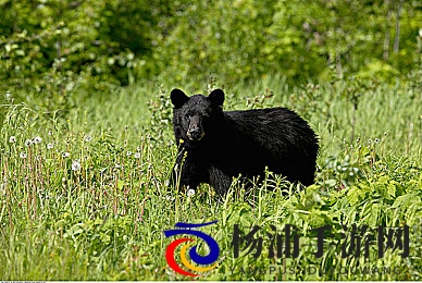 坏人用羽毛刷妈妈的脚底心文章|不善者轻触母亲脚心体验-3