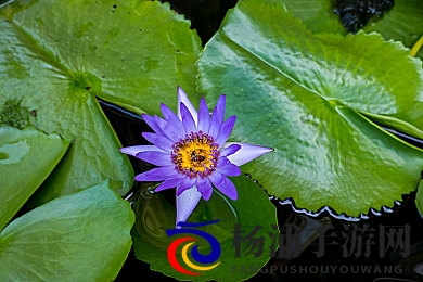 钟欣潼奶头被陈冠希看到了|娱乐圈隐私风暴引发深思