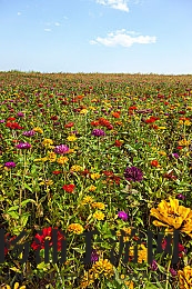 天天干天天干天天干天天干天天干天天干|每天坚持不断努力实现目标-2