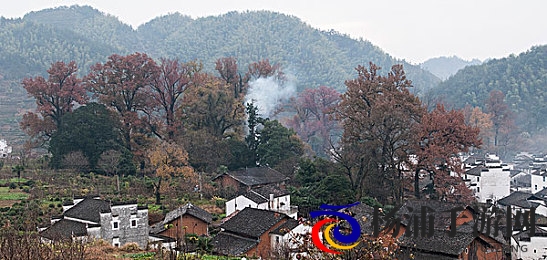 叶子户外勾搭的25部作品|叶子野外互动精选的二十五部佳作-2