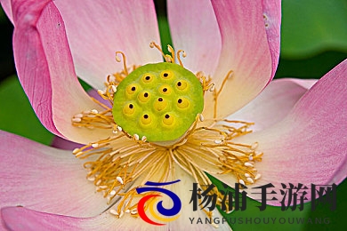 阿娇囗交无删减52分钟|阿娇完整版口交影片时长52分钟