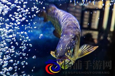 男生和女生一起拆拆很痛|男士女士共同体验拆除的苦楚