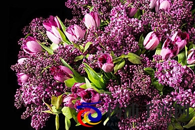 黄色软件在线免费下载|免费获取多款黄色应用在线看欢乐