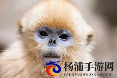 男男十八禁 啪啪网站|成人激情互动平台推荐-3