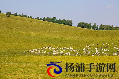 人与动物z2020|人类与生灵的共存展望2020-2