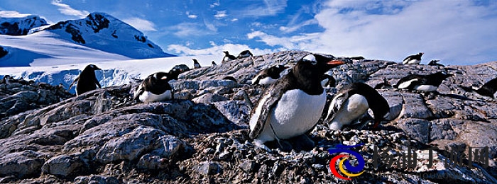 一区二区三区色|网络新潮话题引领视觉冲击风潮-3