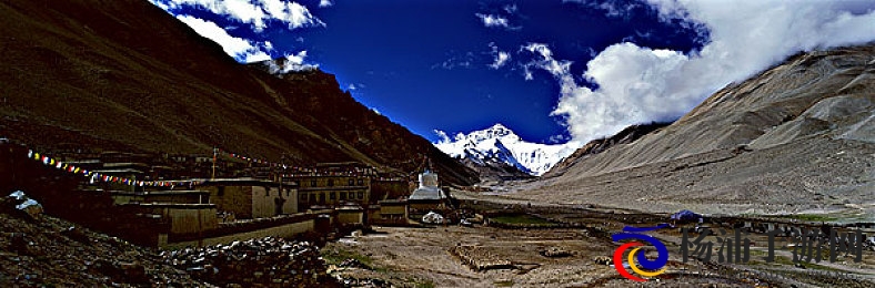 一个好妈妈9个字光头强最佳答案|最强光头强的九字妈妈解答