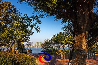 99re这里有|这里汇聚多样精彩内容