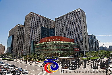 动漫妓女得到巨大|游戏创新引发内容界限激烈讨论-2