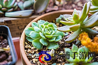 夜夜嗨AⅤ一区二区三区|夜夜畅享优质影视综合网-3