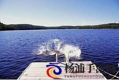 牧场与牺口殅交|创新策略游戏引领玩法新潮流