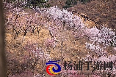 云缨裸体奶水都被挤出来了|网络隐私保护与公众责任的平衡之道-3