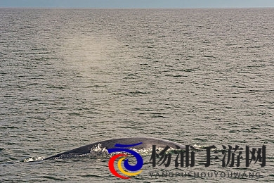 肌肌对肌肌通30分的|打造极速生活新趋势-2