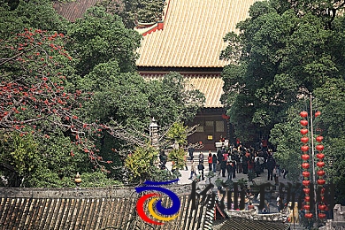 黄色app下载oppo|安全平台助力玩家畅享丰富手游