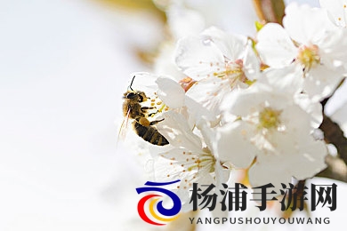 猛男和按摩师1069SA9男模|强壮男性与按摩专家合作的时尚模特