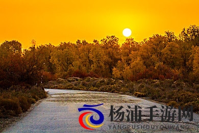 两个军人的爱情双男|战场上的温情革命引发热潮-2