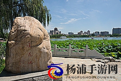 日韩精品视频一区二区|日韩视频在线观看精彩汇聚