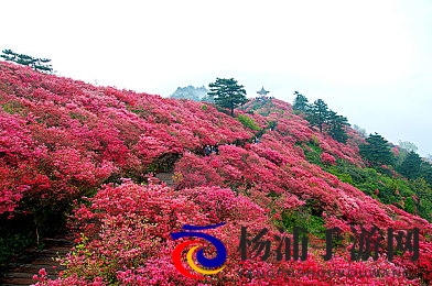 18岁禁黄色软件|全国加强青少年网络内容监管措施解析-2