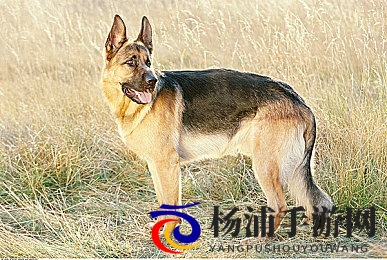 憋尿失禁(非常严格)|忍不住憋尿导致无法控制的尴尬场景