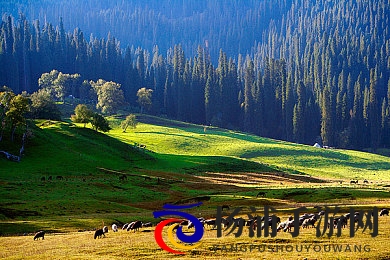 被吊起来毛笔轻挠奶头|网络奇观展现文化符号的变迁-2