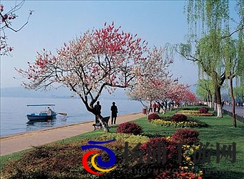 网站我想你应该明白我的意思|我希望你能理解我的意图-2