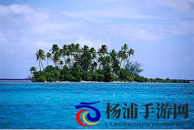 黄色软件APP3.0.3免费oppo版|免费软件下载专属OPPO3.0.3新版